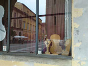 Schaufenster 3