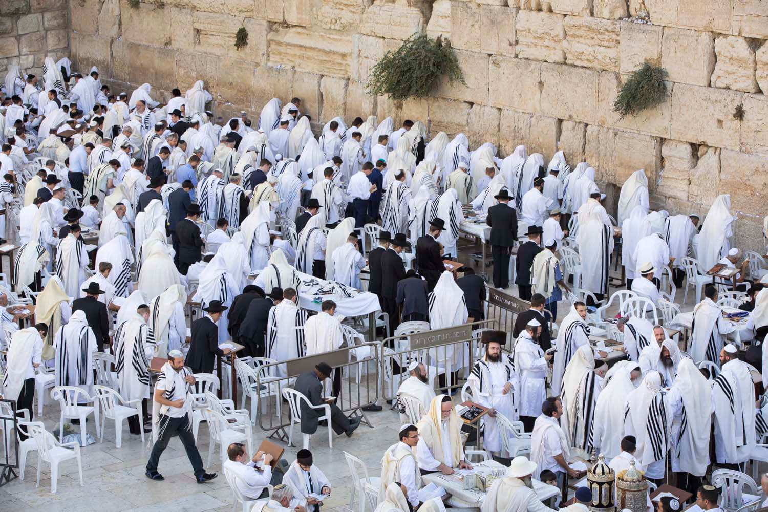 Jom Kippur A Nakht In Gan Eydn
