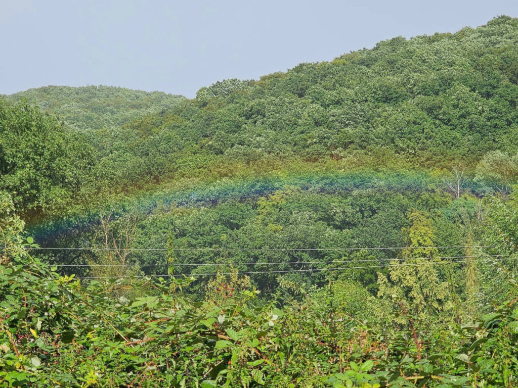 Sommermusikfest 2023