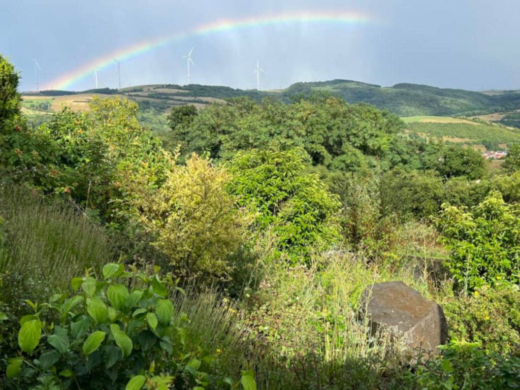 Sommermusikfest 2023