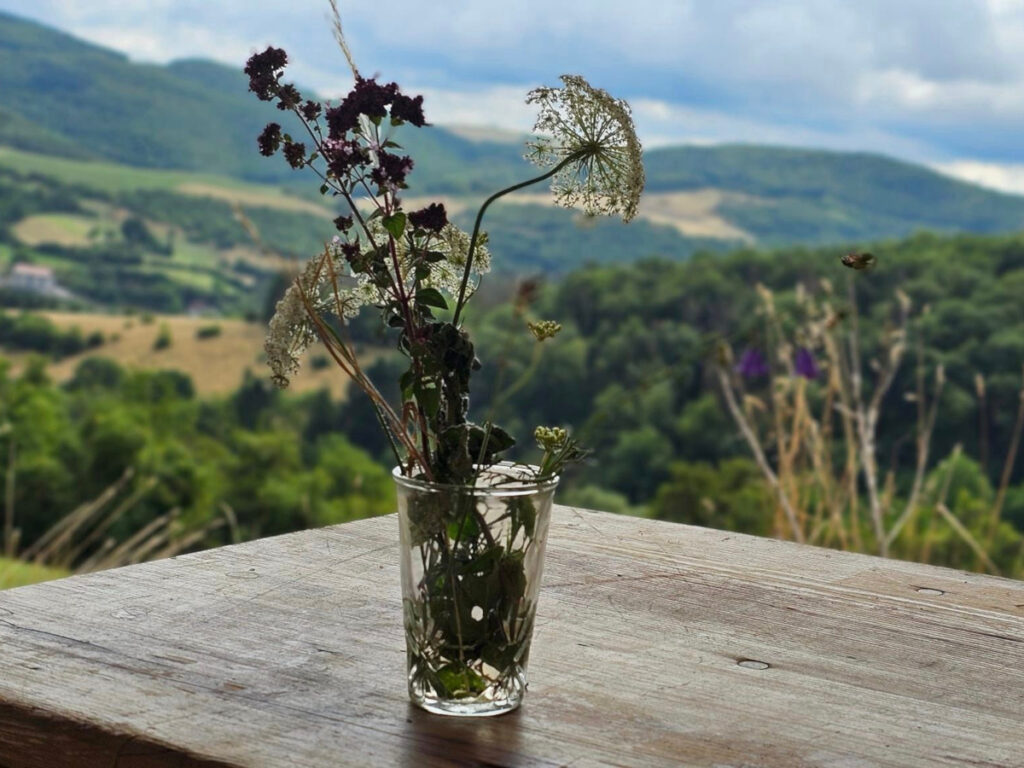 Sommermusikfest 2023