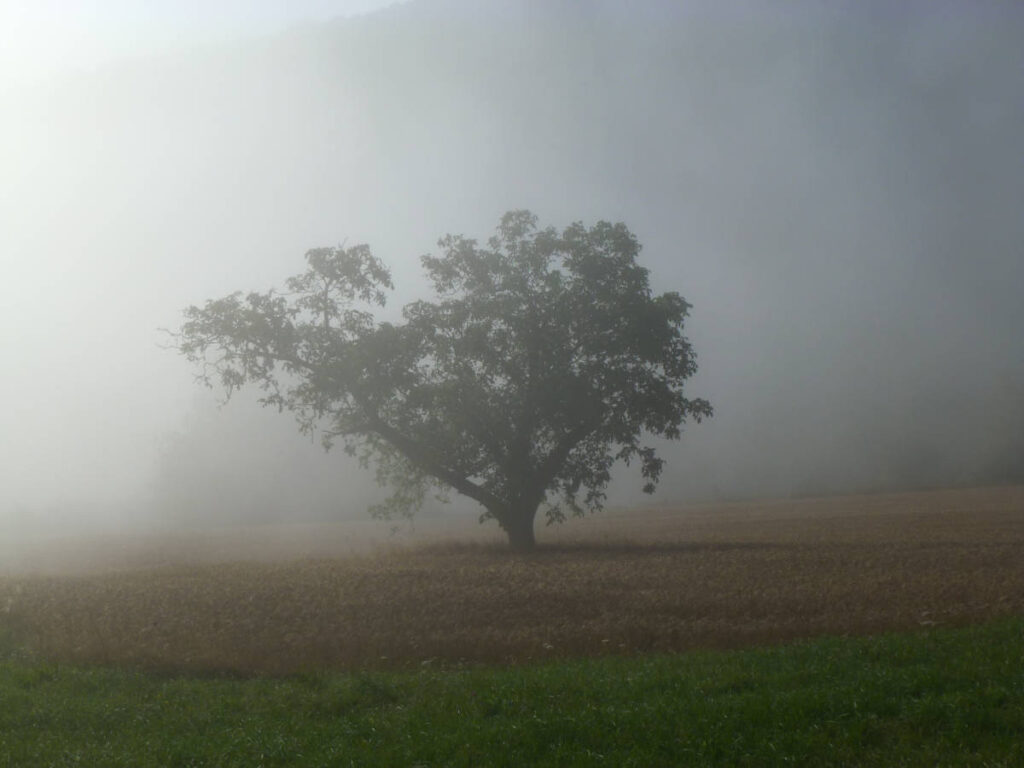 Sommermusikfest 2023