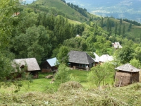 06.JPG