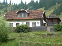 07.JPG
