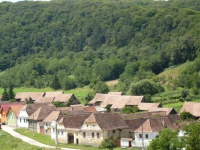 14.JPG