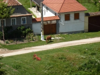 15.JPG